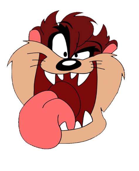 tasmanian devil looney tunes|tasmanian devil looney tunes pictures.